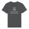 Rocker the essential unisex t-shirt (STTU758) Thumbnail
